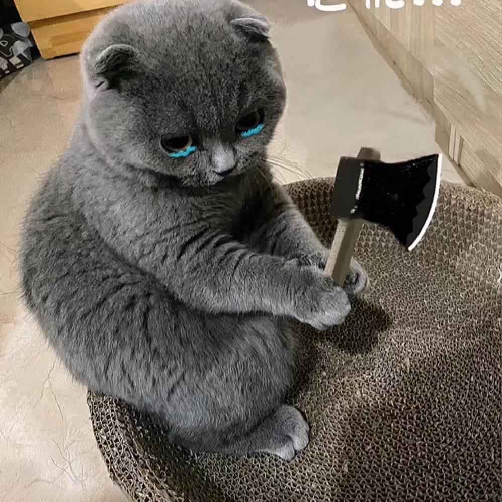 如果