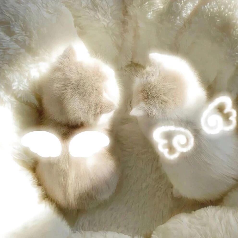 饼᳐饼᳐养喵ᓗ