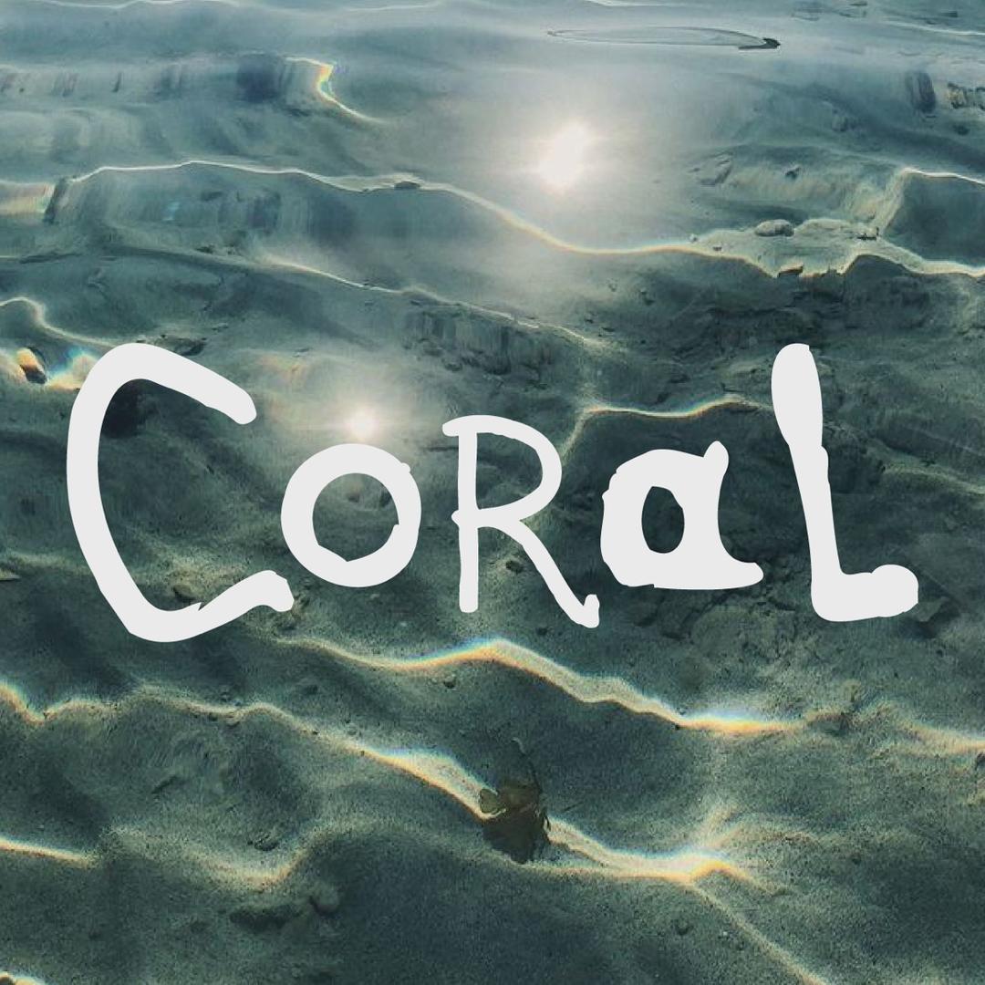 Coral🪸