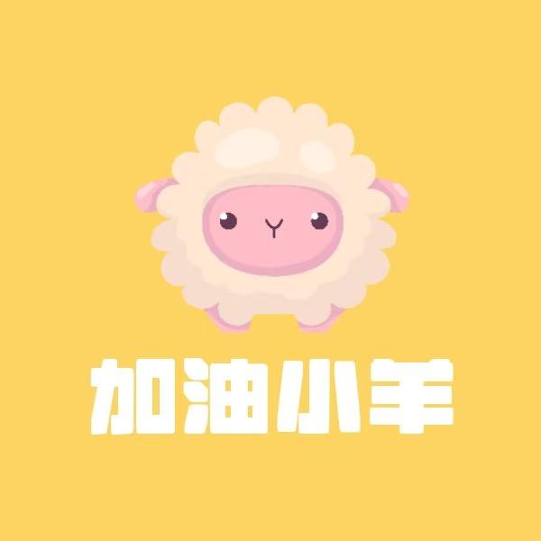 加油小羊的ccd相机