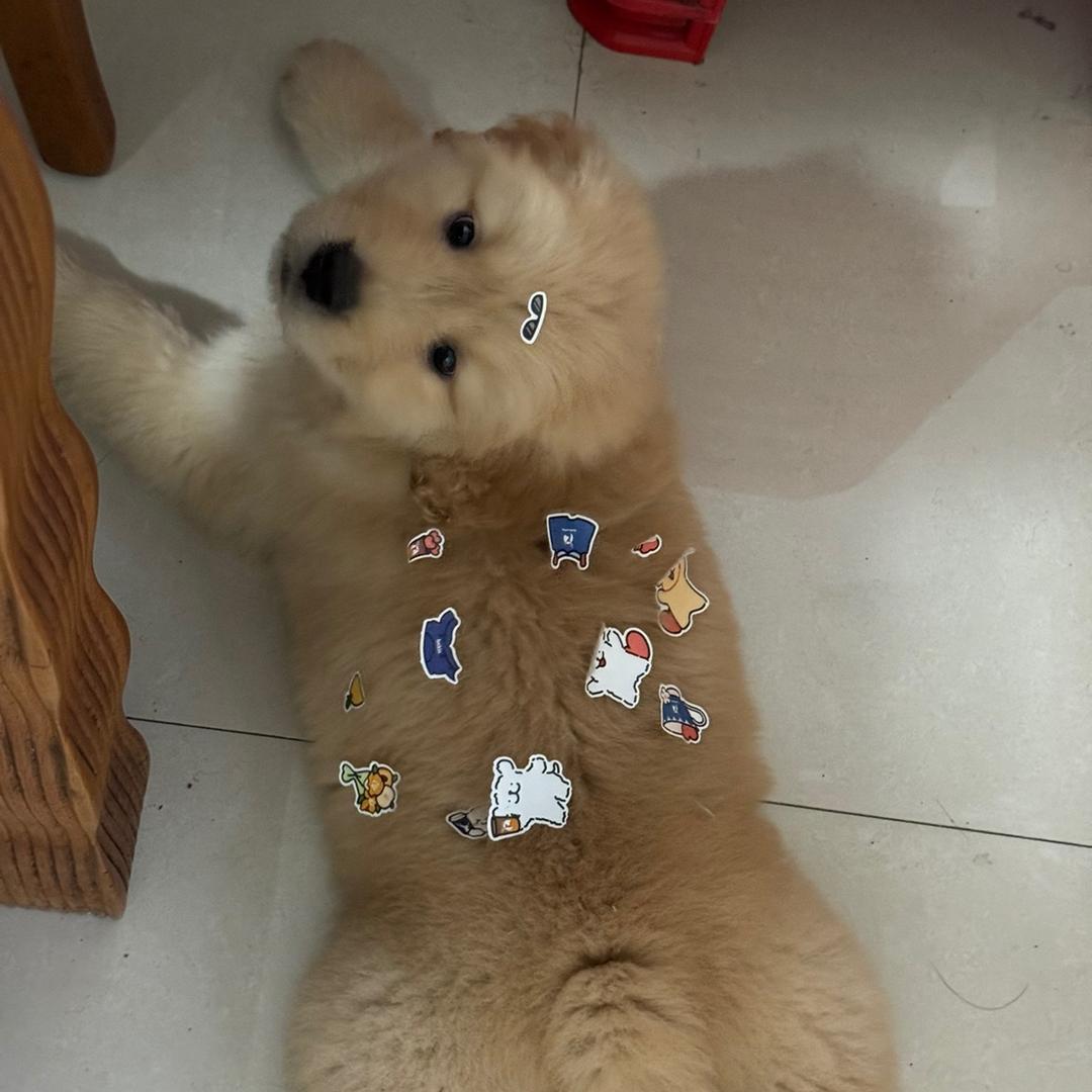 梁十五
