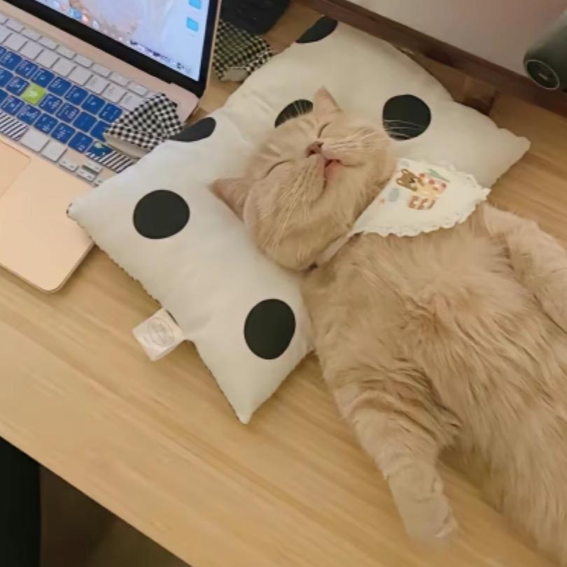 又矮又丑的胖哥