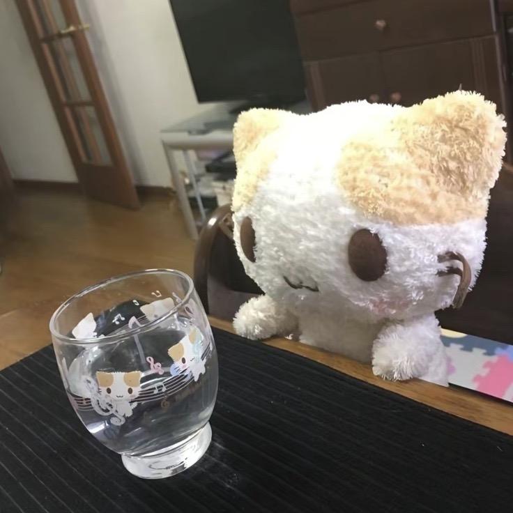晚睡小猫pp
