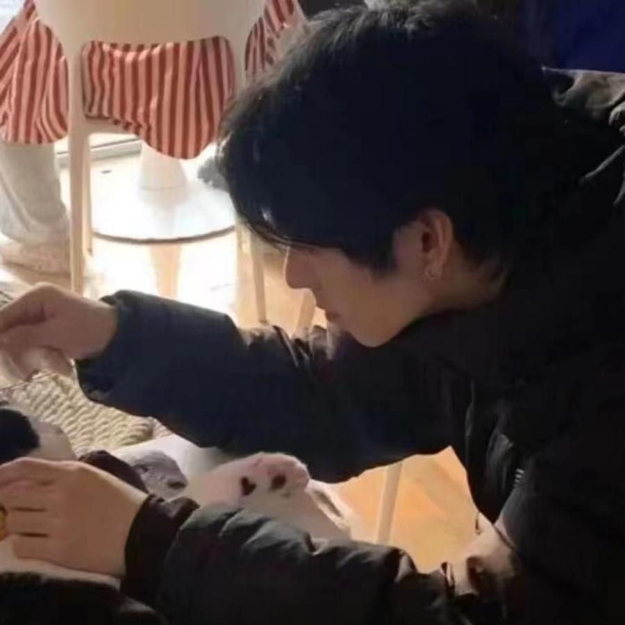 磊磊