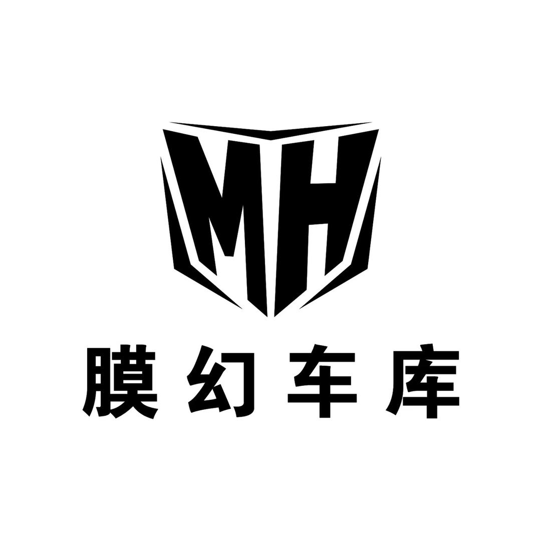 阜阳膜幻汽车贴膜