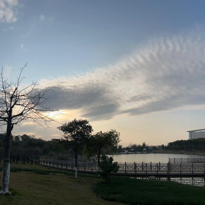 家有三宝（装修中）