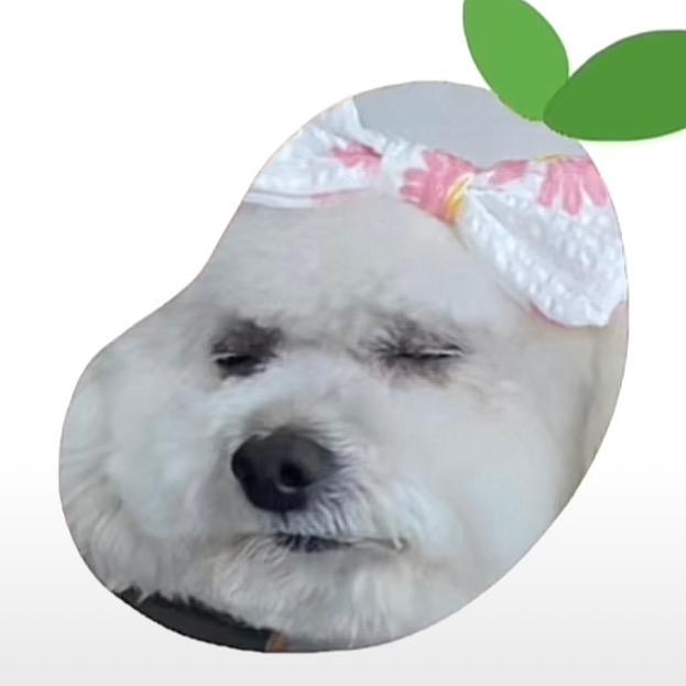 兢槑