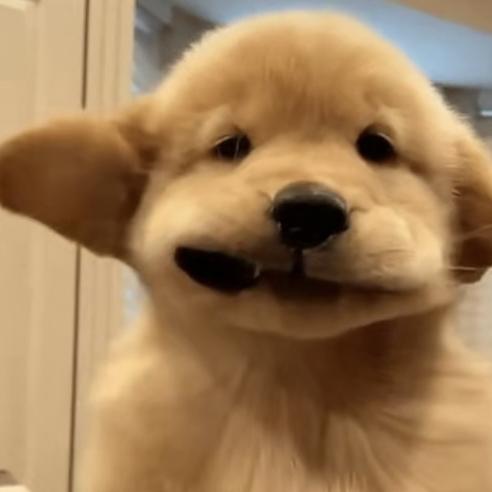 晴天还是下雨天