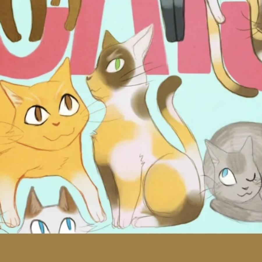 小宝