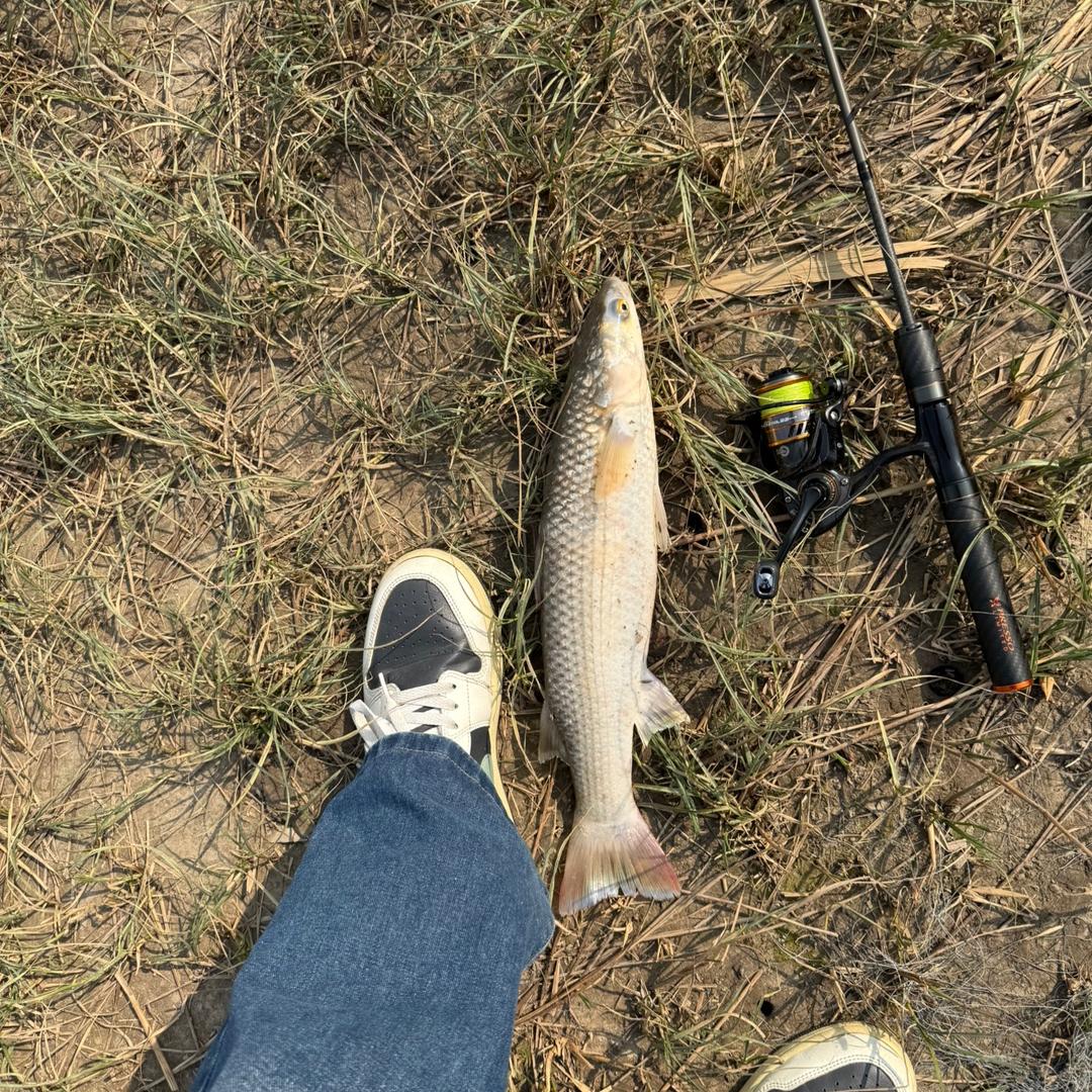 最正经的钓鱼佬