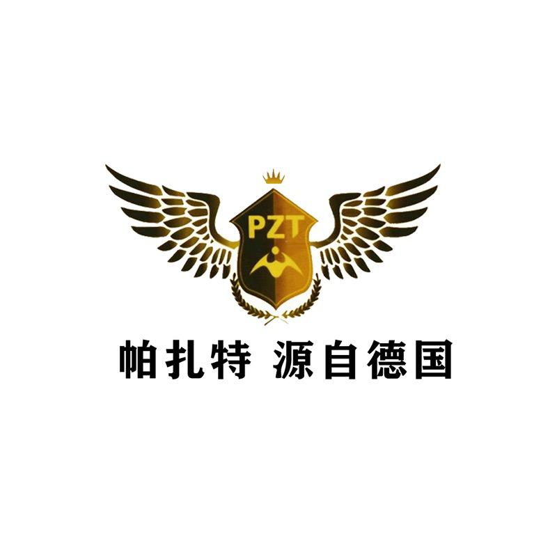 帕扎特发电机厂家