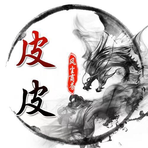 御龙在天–风尘皮皮