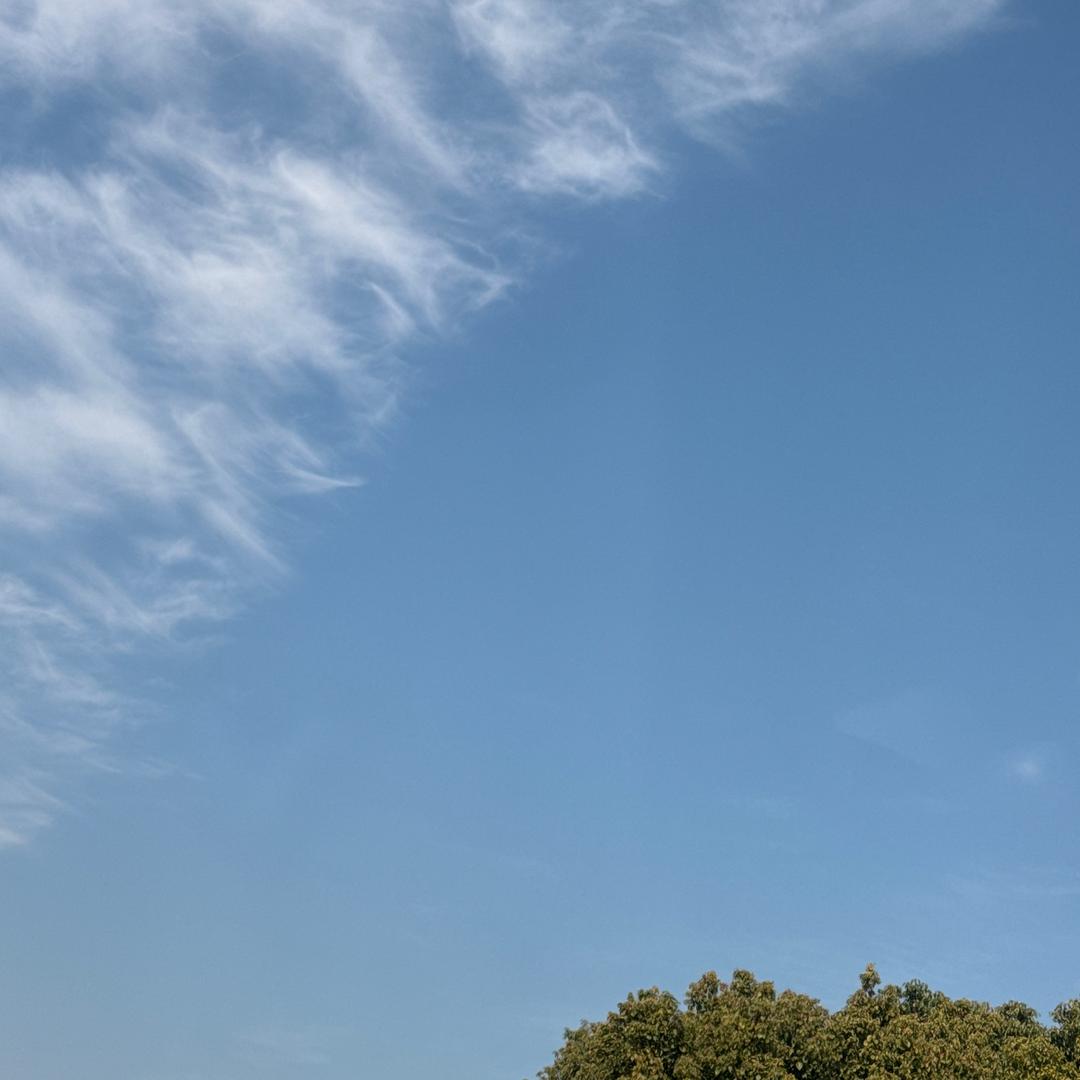 阳光便利店(绿地中央广场店)雨雨的直播号