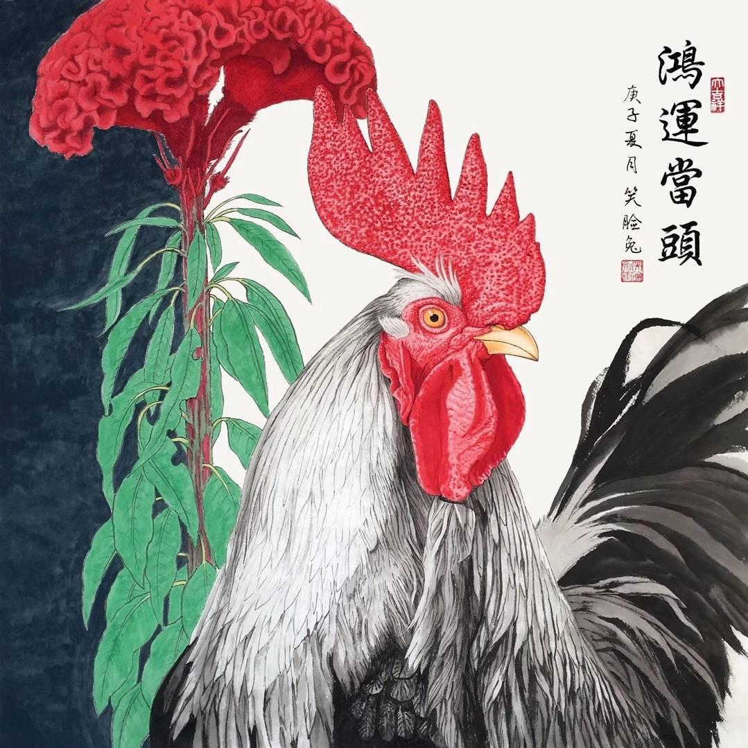 批发零售各种大公鸡、老母鸡