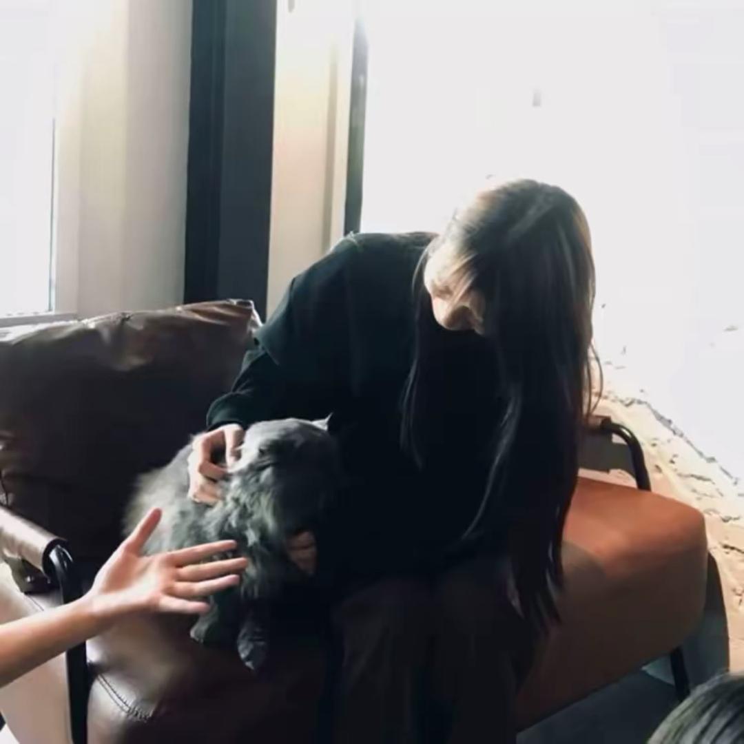 不吃芒果