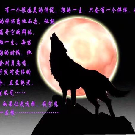 小丑🤡🤡🤡
