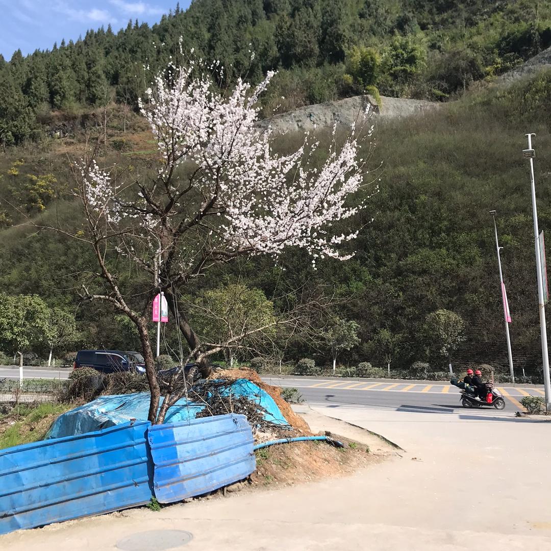兰天和白云