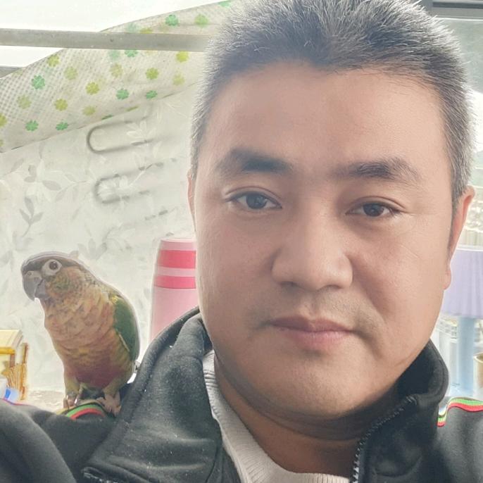 不钓黄鳝就钓鱼