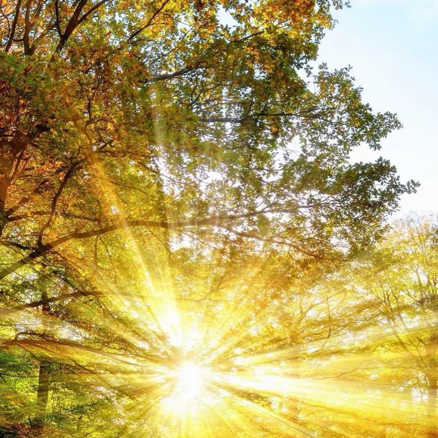 泾河百货精选小铺