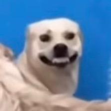 激光焊小炮