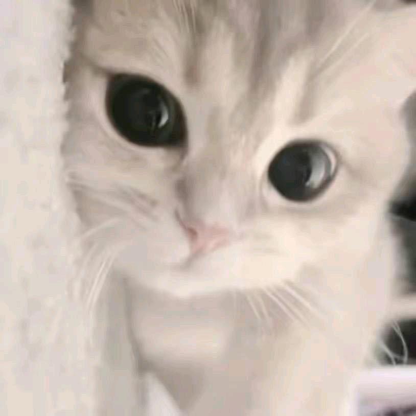 明天 見
