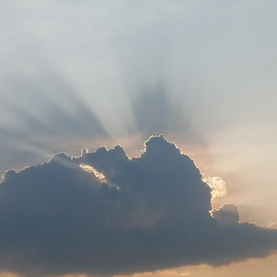 爱情废柴