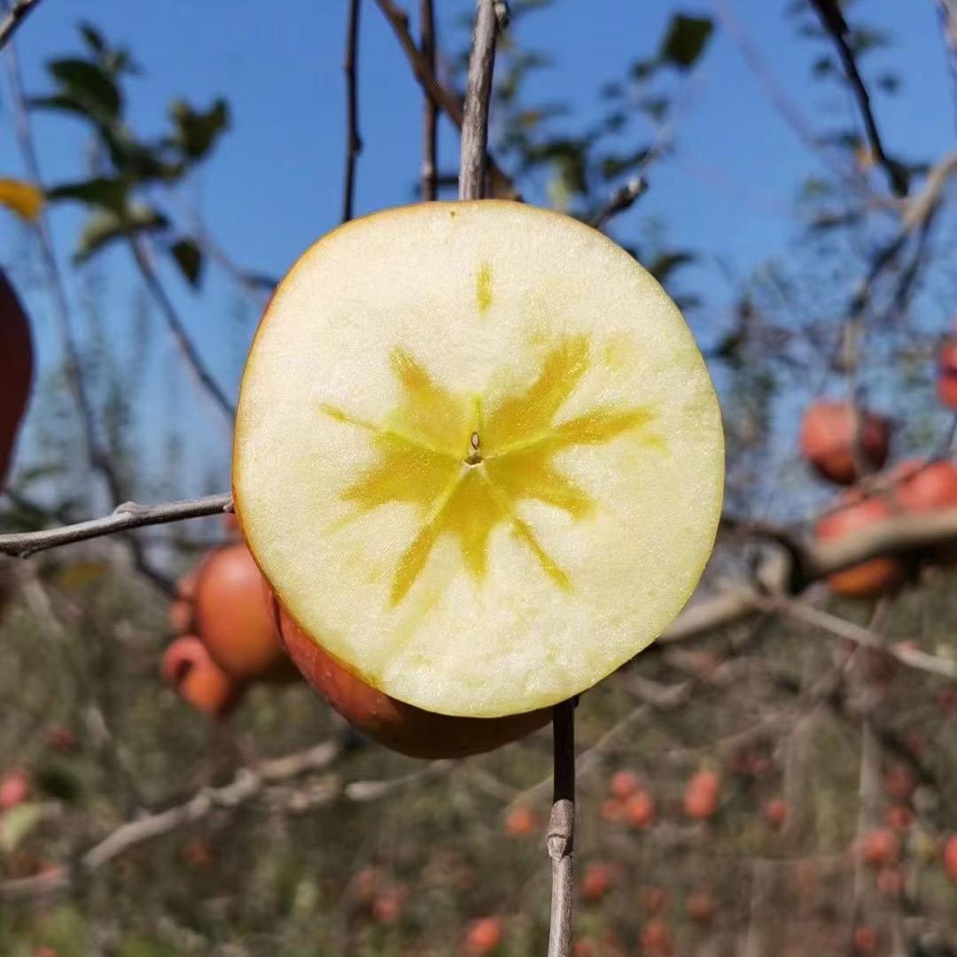 湉湉爱探店（互）