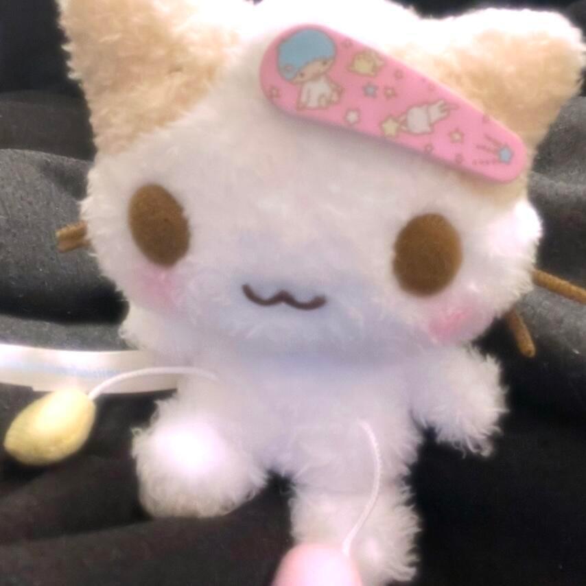 秃秃秃秃秃秃