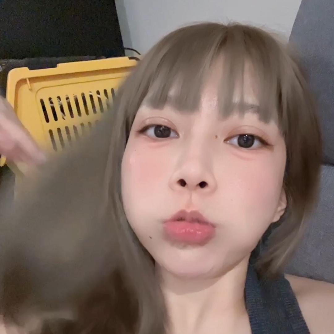 一只猪小虾（随机版