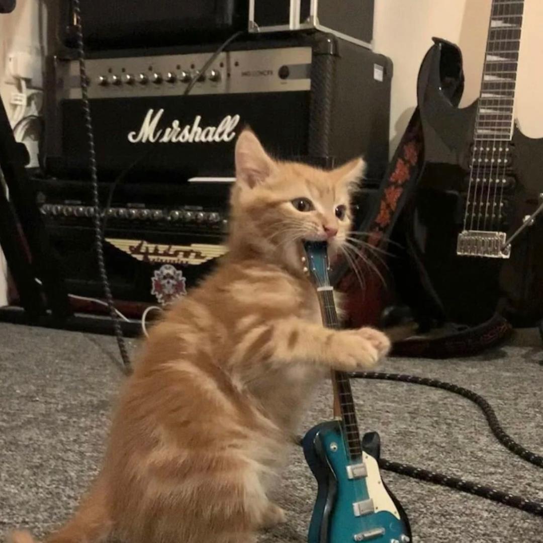 小新不喜欢吃马铃薯