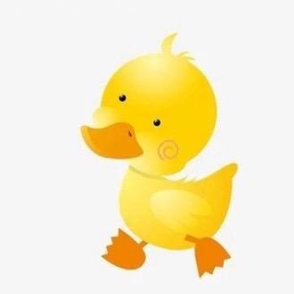 倏shu忽人间四月天