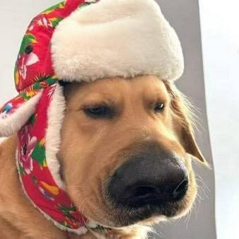 CFM远望（阻尼）