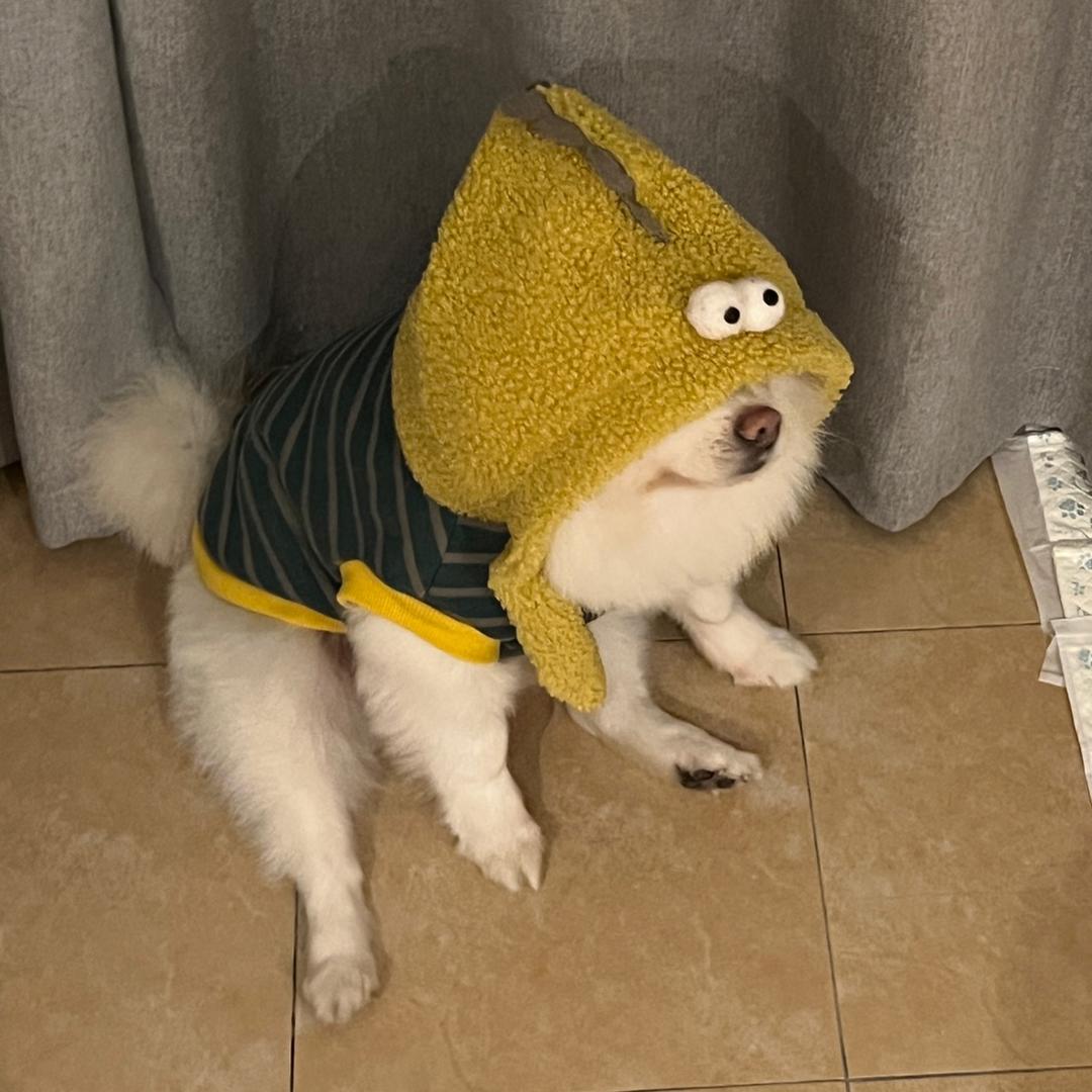不要吃毛豆o