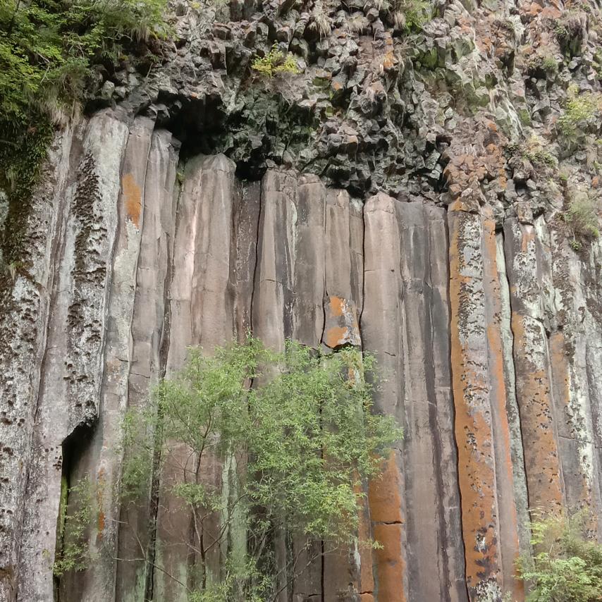 林红静