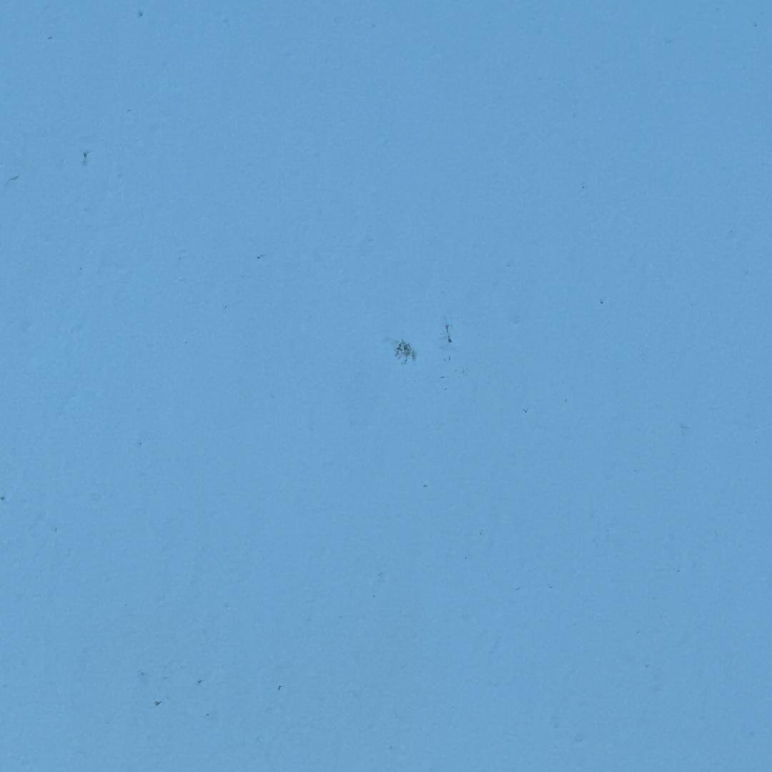 意鹭诚脚手架租售(嘉隆公寓店)朵朵的直播号