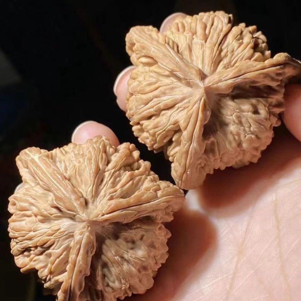 龘龖文玩