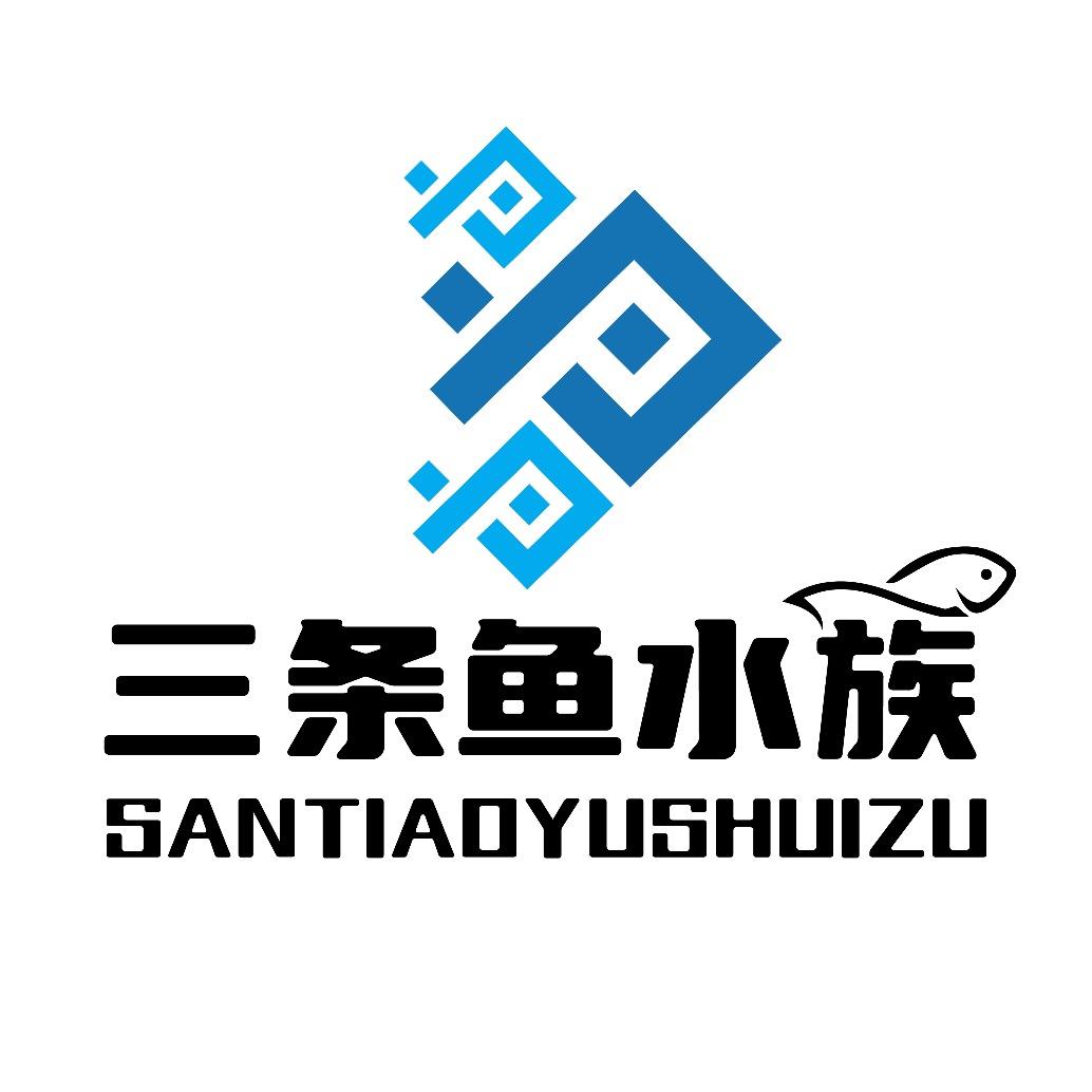 三条鱼水族观赏鱼