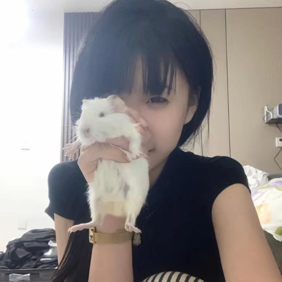 理枝