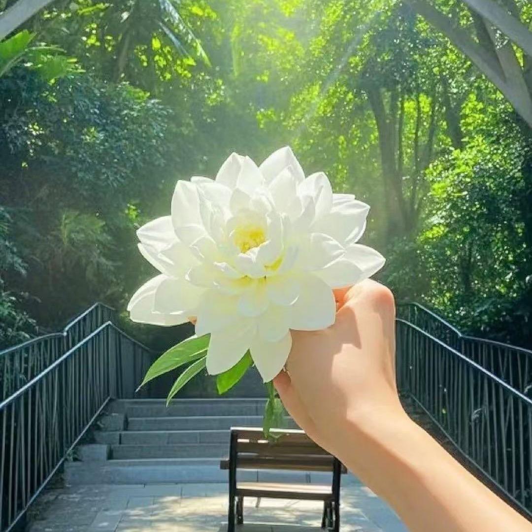松滋私人衣柜女装