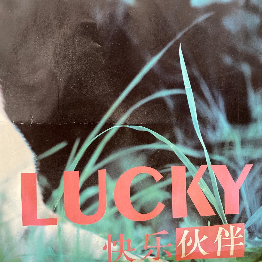 制造悬念感