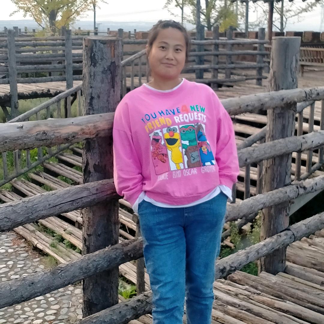 燕子(ಡωಡ) 会飞