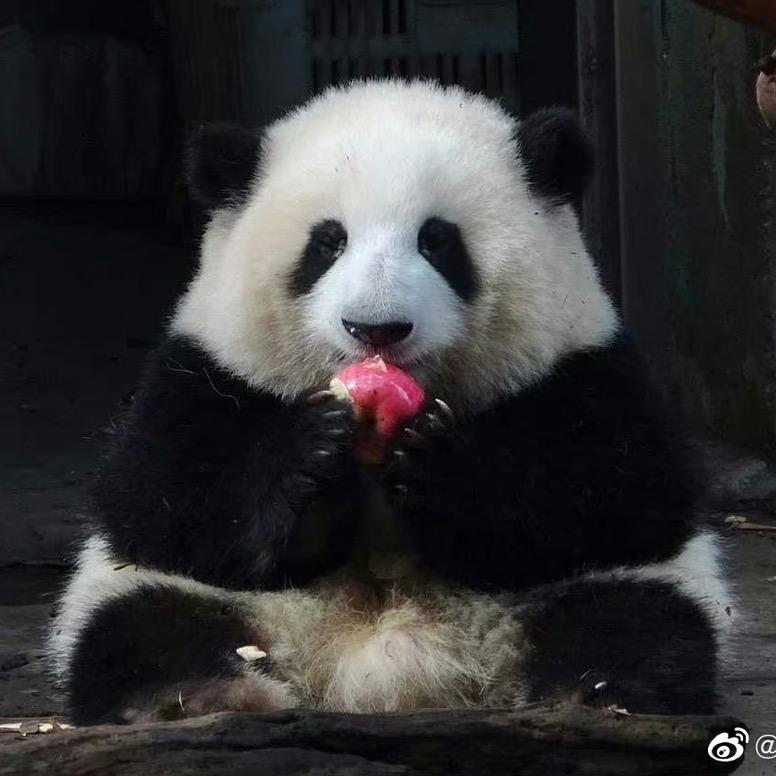 奶茶不吃鱼
