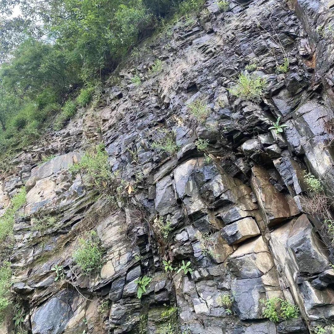 千小生（橙）