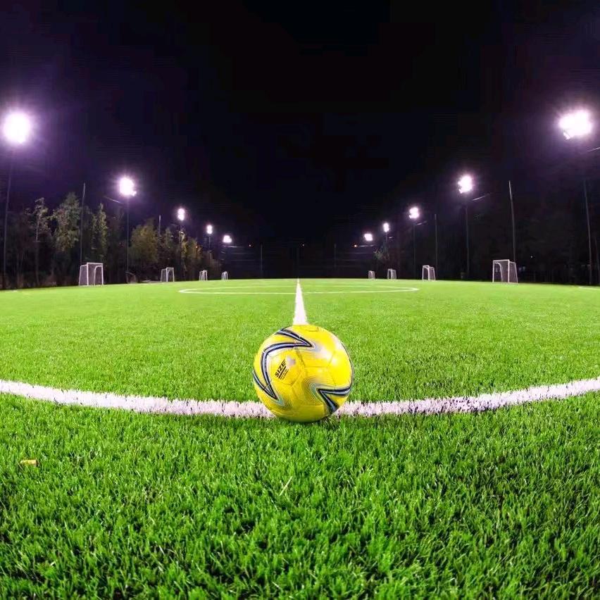 爱修球场的老杨