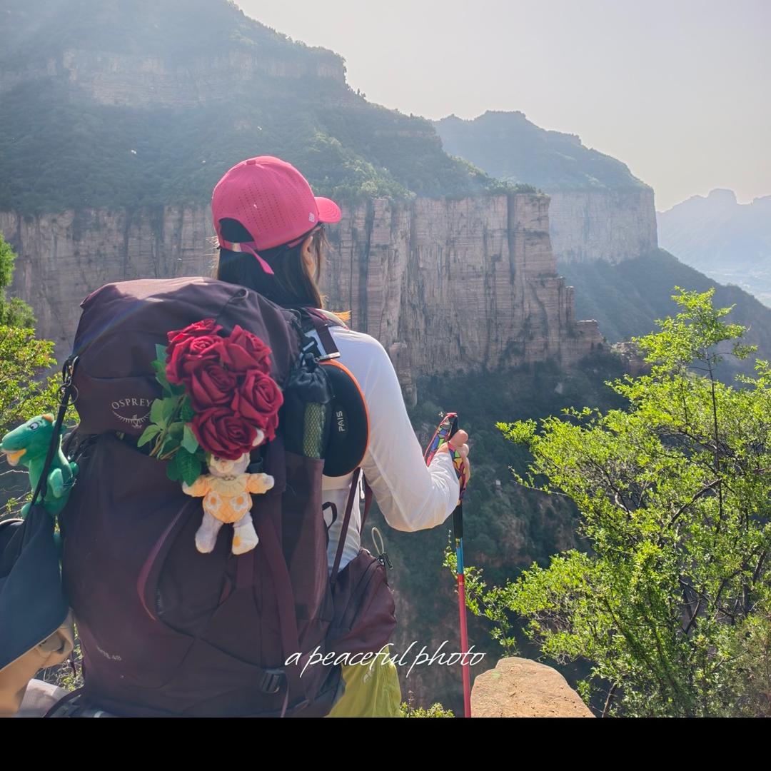 赤诚驾培李圆圆