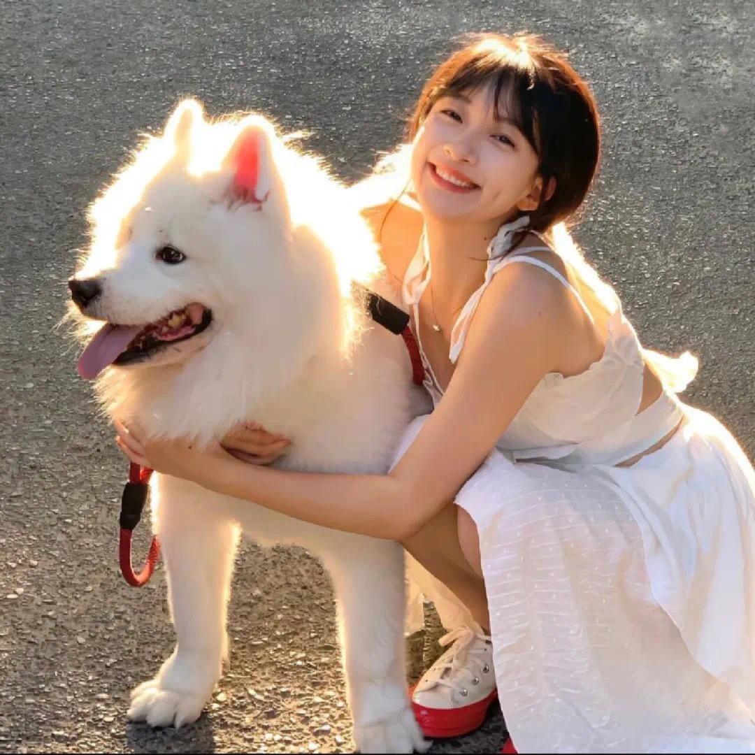 美羊洋