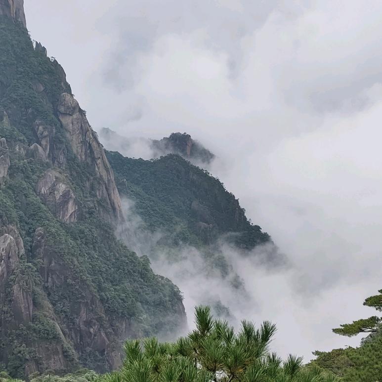 随缘似风