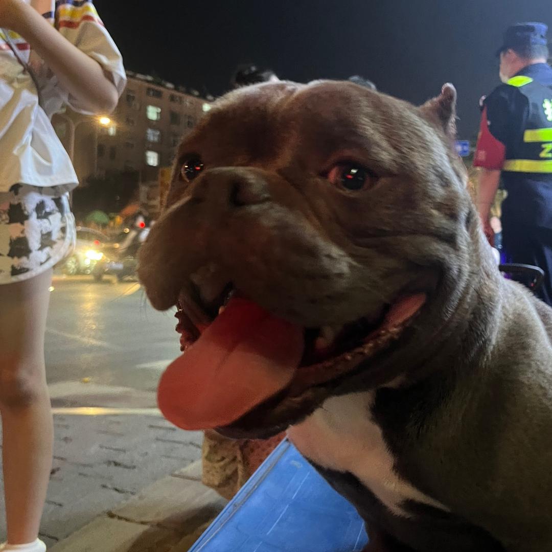 北京尾巴摇摇商贸有限公司