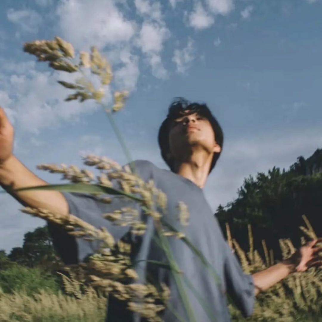 麻雀，