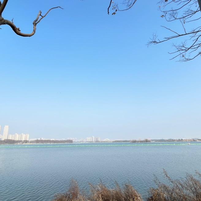 湖行